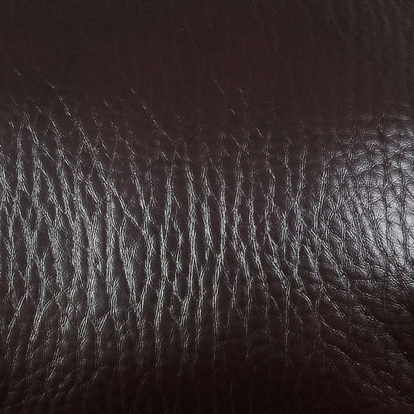 Dupree Brown Futon Sofa