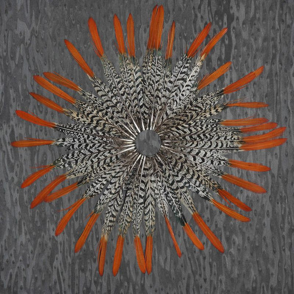 Kumara, Shadow Box