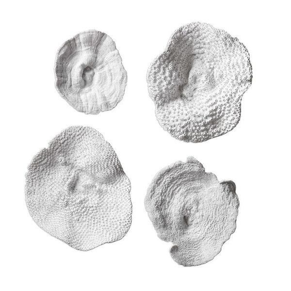 Sea Coral, S/4