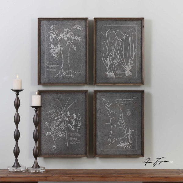 Root Study, S/4