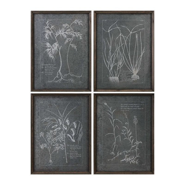 Root Study, S/4