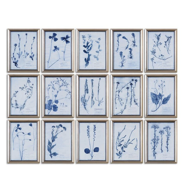 Dried Flowers, S/15