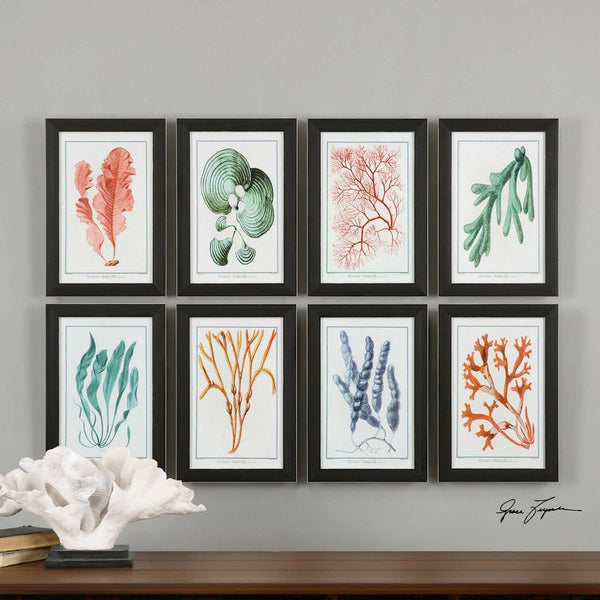 Colorful Algae, S/8