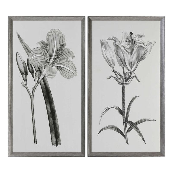 Sepia Flowers, S/2