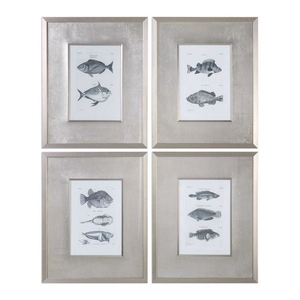 Blue Fish, S/4
