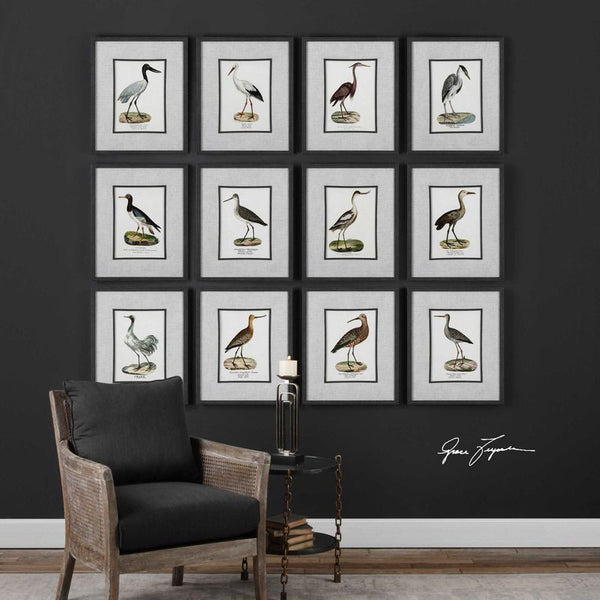 Seashore Birds, S/12