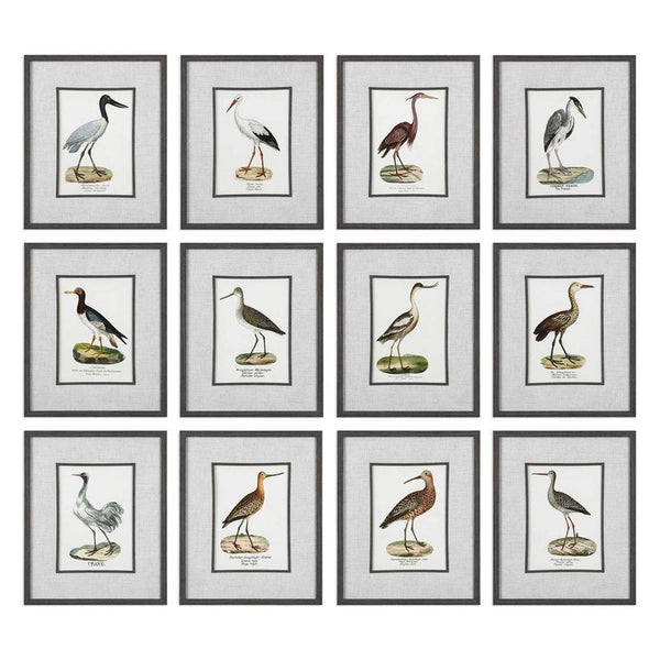 Seashore Birds, S/12