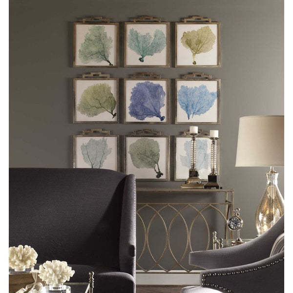 Sea Fans, S/9