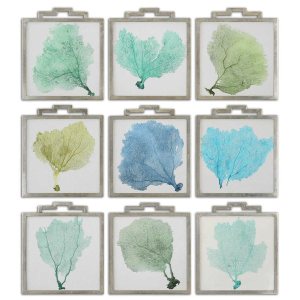 Sea Fans, S/9