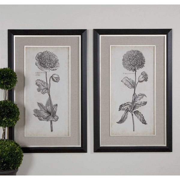 Singular Beauty I, II, S/2
