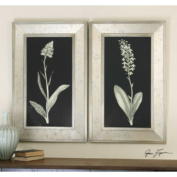 Antique Floral Study, S/2