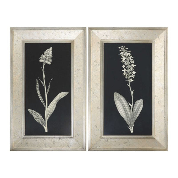 Antique Floral Study, S/2
