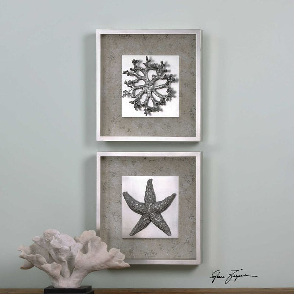 Starfish & Coral, S/2