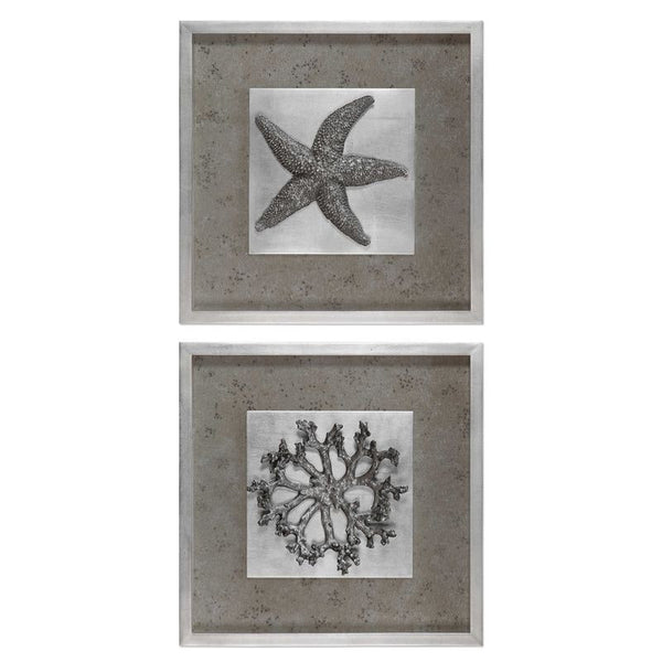 Starfish & Coral, S/2