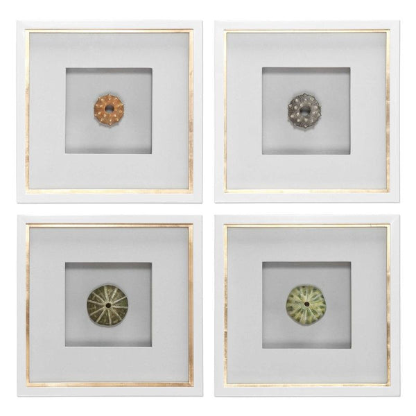 Sea Urchins, S/4