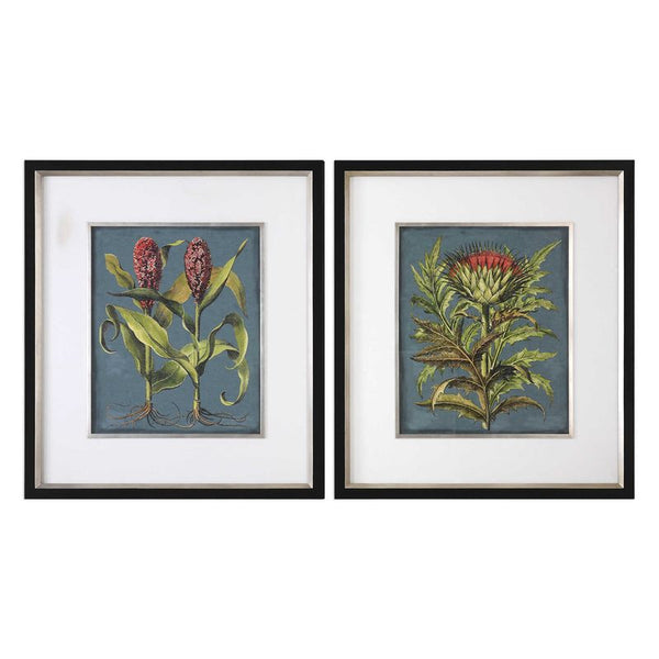 Rhubarb and Artichoke, S/2