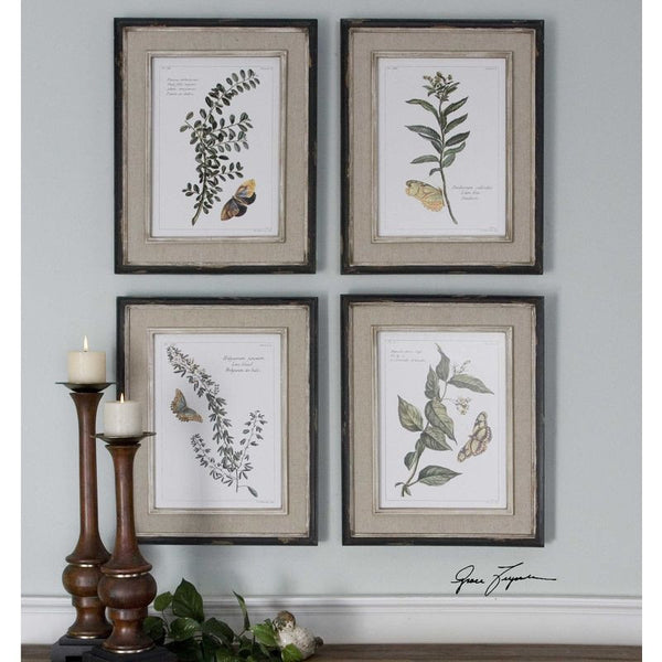 Butterfly Plants, S/4