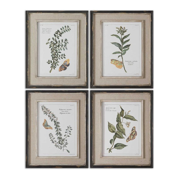 Butterfly Plants, S/4