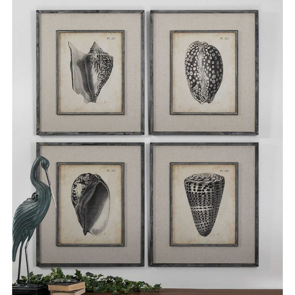 Vintage Diderot Shells, S/4