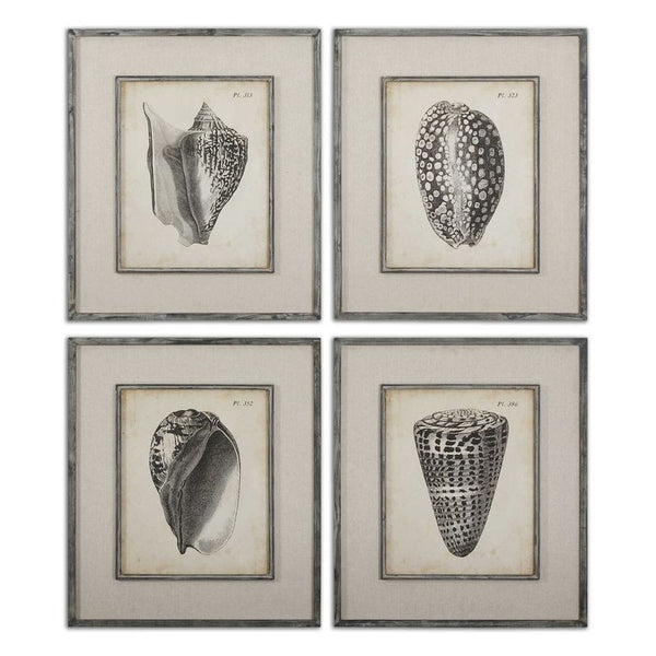 Vintage Diderot Shells, S/4