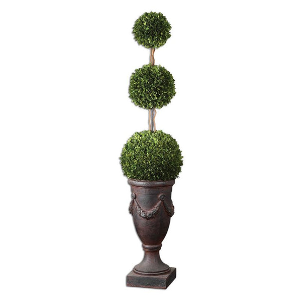 Preserved Boxwood, Triple Topiary