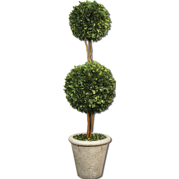 Preserved Boxwood, Two Sphere Topiar