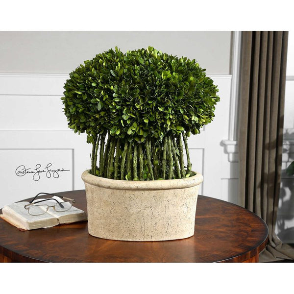 Preserved Boxwood, Willow Topiary