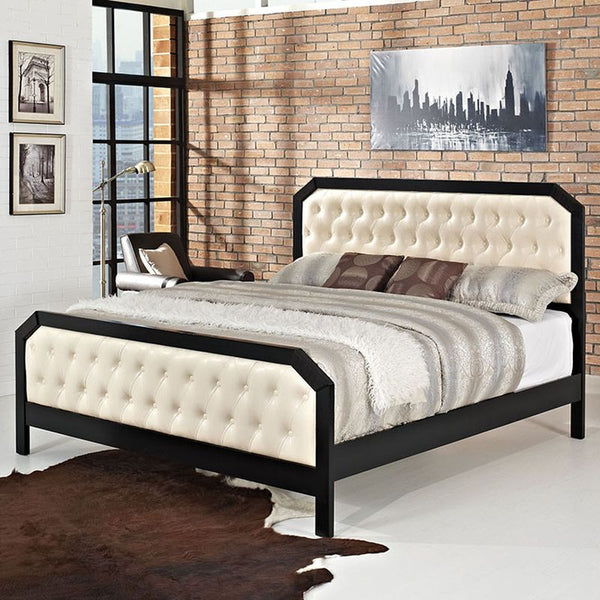 Tommy Queen Bed in Black