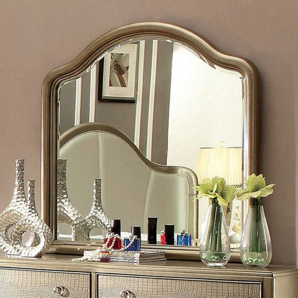 Nisha Mirror