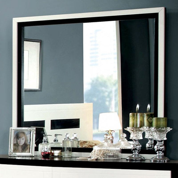 Rutger Mirror