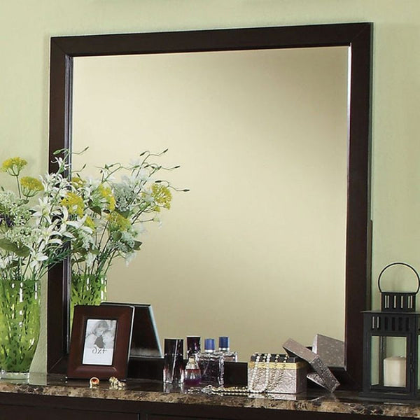 Lemoore Mirror