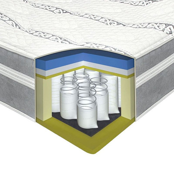Orchid I Queen Tight Top Mattress