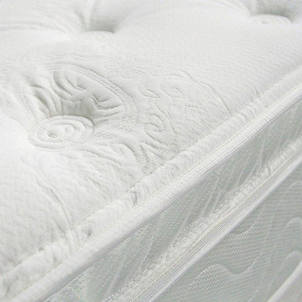 Bird Of Paradise Full Euro Pillow Top Mattress