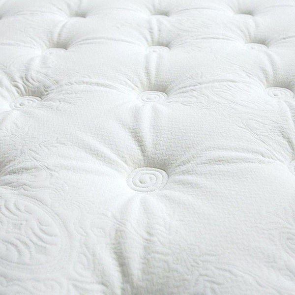 Bird Of Paradise Full Euro Pillow Top Mattress