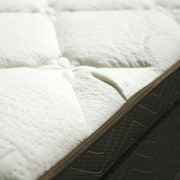 Daffodil E.King Euro Pillow Top Mattress