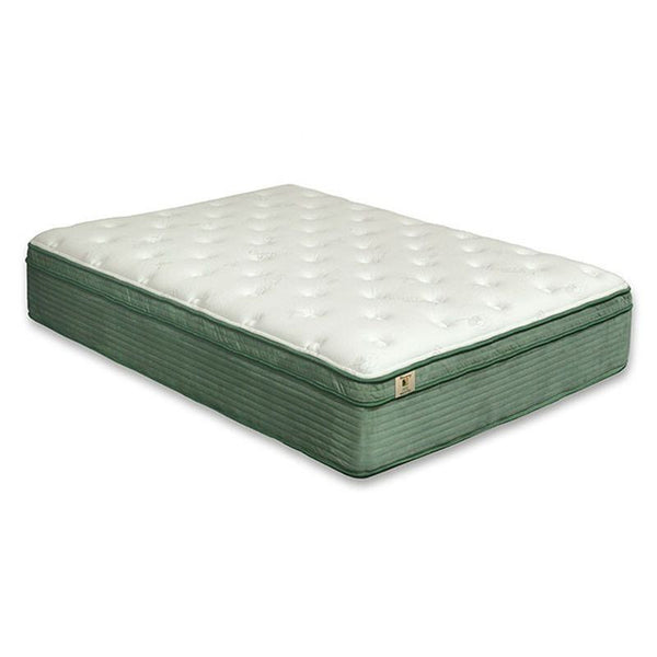 Harmony E.King Euro Pillow Top Mattress